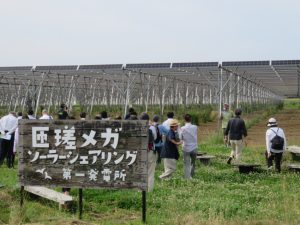 ソーラーシェアリング匝瑳